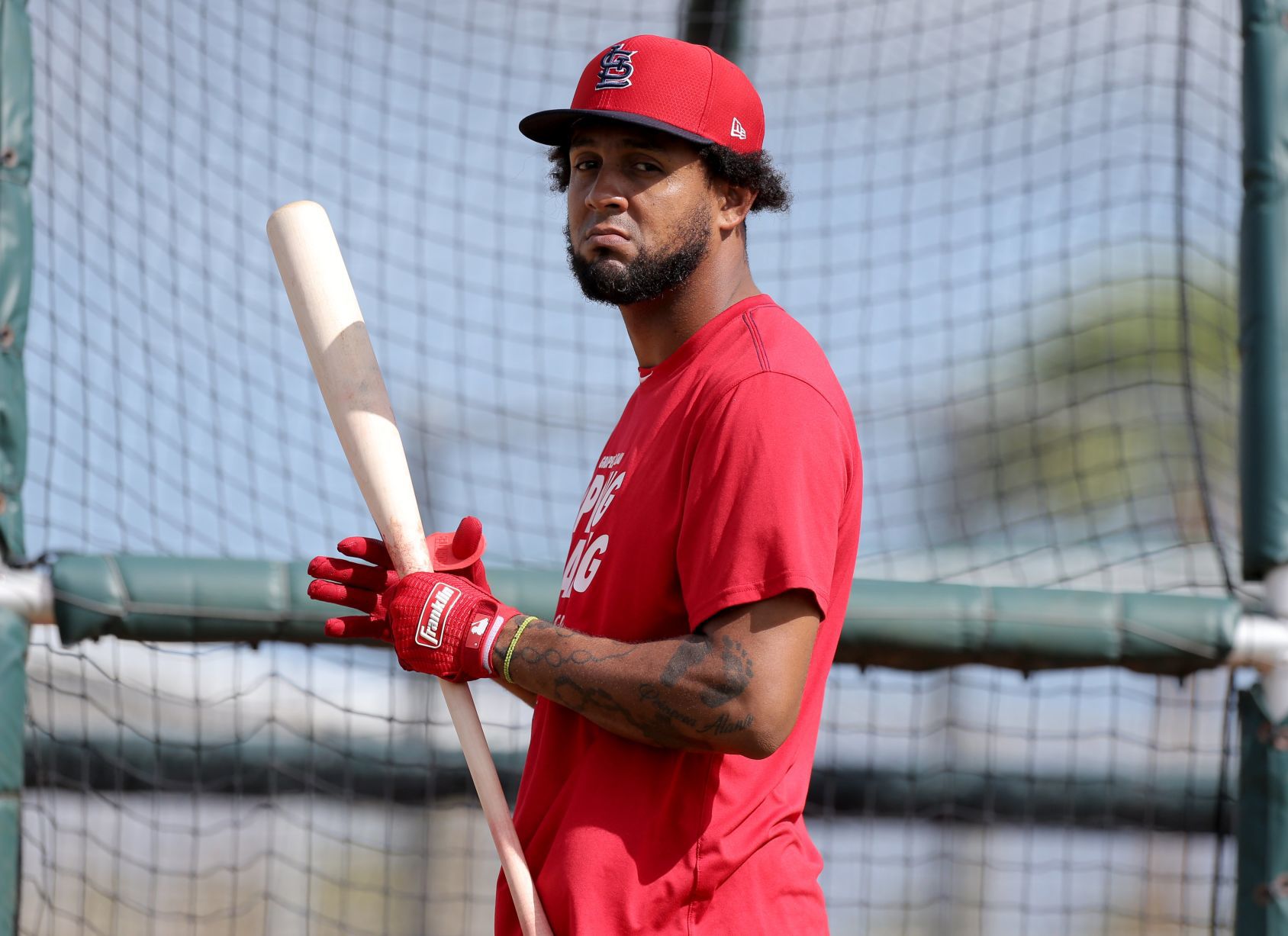 Cardinals spring training